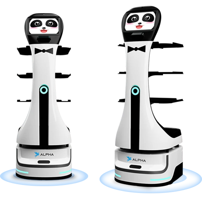 Panda Delivery Robot