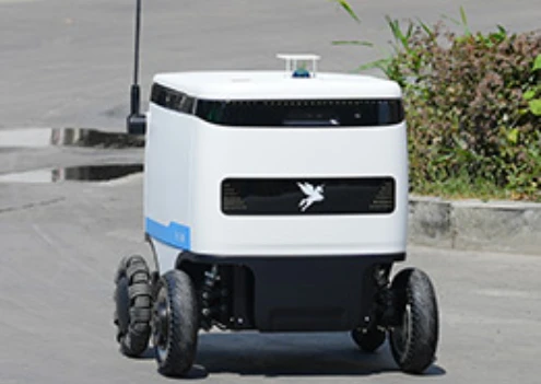 Indoor & Outdoor Delivery