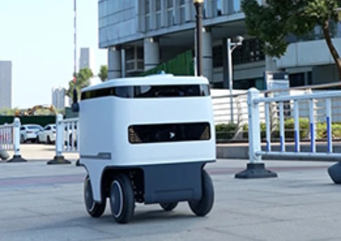 Indoor & Outdoor Delivery