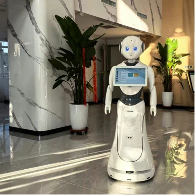 Government Hall Robot